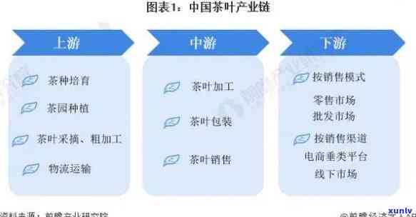 普洱茶行业领军者 *** 店：品质茶叶与独特经营模式的成功结合