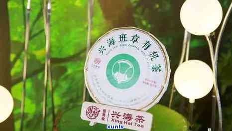 海茶业的茶怎么样，深度解析：海茶业的茶叶品质如何？