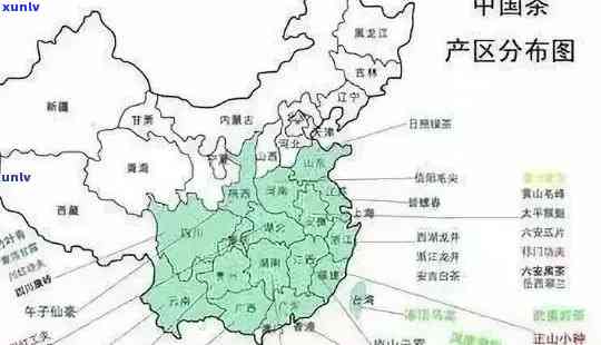 全国主要城市茶叶场地址一览