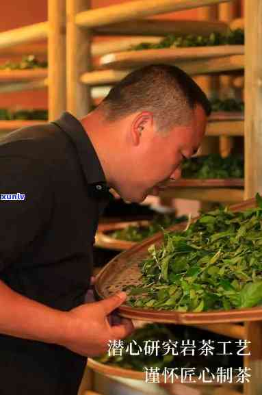 可以兴茶厂是不是正规茶厂，探讨“可以兴茶厂”是否为正规茶厂