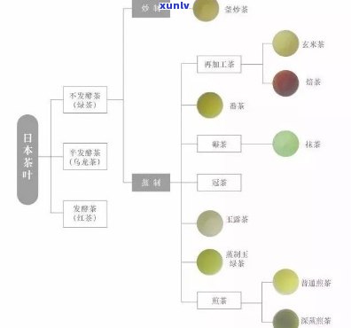 等牌茶叶怎么样？价格、等级全揭秘！