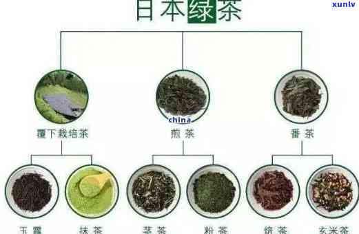 等牌茶叶怎么样？价格、等级全揭秘！