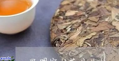 云南昆明守拙茶叶厂：守拙茶叶的价格、产品及评价