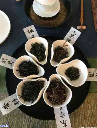 茶香记的茶到底行不行，品鉴茶香记茶叶：口感如何，究竟是否值得购买？