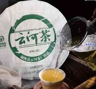 金色云河普洱茶好喝吗？了解金色云河茶叶、茶厂及其与云河茶厂的区别，访问金色云河官网