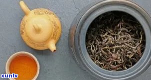 金枝玉叶茶叶是什么茶，探秘名贵茶品：金枝玉叶茶叶的品种与特点