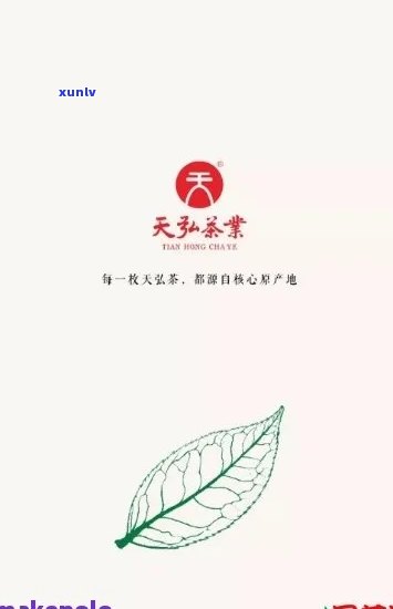 天云茶叶的茶怎么样好喝？查看公司图片了解详情