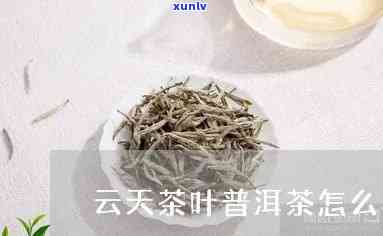 天云茶叶，品味天云，畅享优质茶叶——天云茶叶