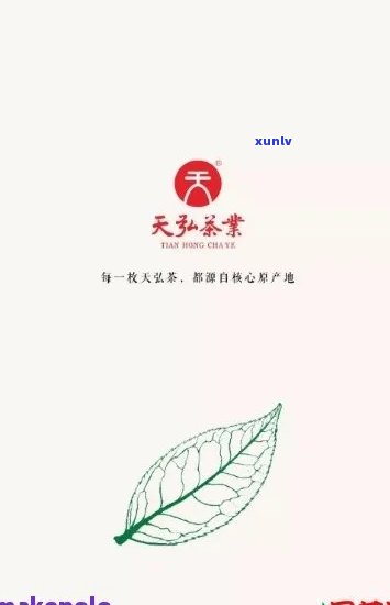 天云茶叶，品味天云，畅享优质茶叶——天云茶叶