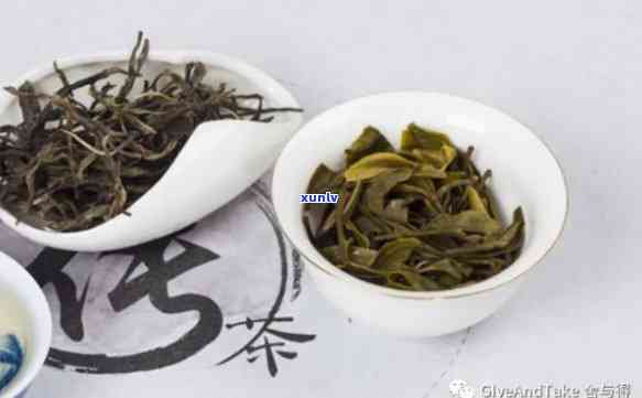 藏剑山古茶，探秘中国古老茶：藏剑山的古茶文化