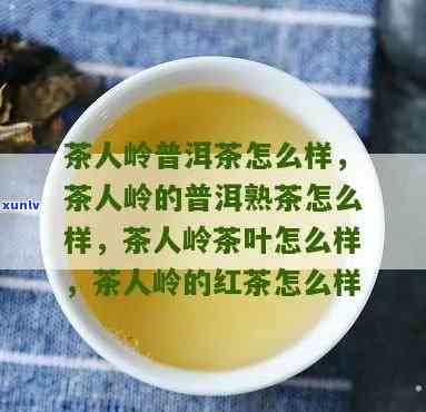 茶人岭的茶叶怎么样好喝吗，探究茶人岭茶叶口感：是否好喝？