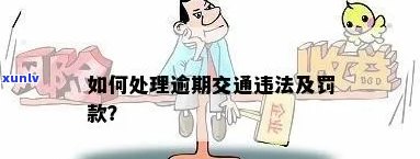 交通罚款逾期6个月怎样解决？详解解决  