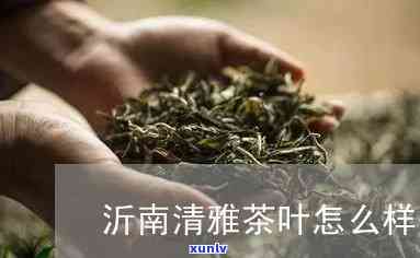 沂南清雅茶叶怎么样-沂南清雅茶叶怎么样啊