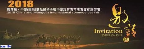 额济纳旗石头品种及矿产资源介绍，包括玉石种类、产地和场信息，以及推荐的捡石头地点