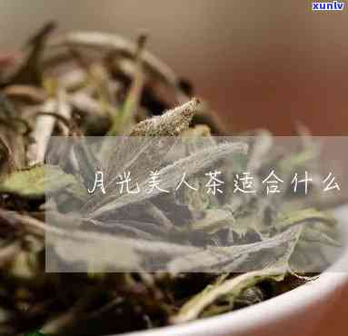 月光美人属于生茶还是熟茶？功效、价格及适宜节全面解析