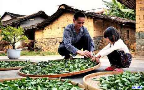 拼多多茶叶这么便宜，揭秘拼多多茶叶为何如此便宜，你也可以轻松喝到好茶！