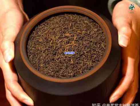 好几万的茶叶，品味高品质生活：探索价值数万元的顶级茶叶