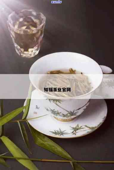 知福茶叶，品味生活，尽在知福茶叶