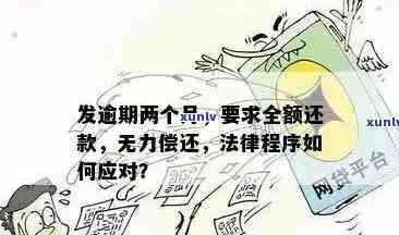 广发逾期两个月,请求全额,没能力还怎么办？