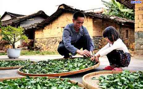 茶叶放多了会怎么样，茶叶放多了？味道太浓还是营养过剩？