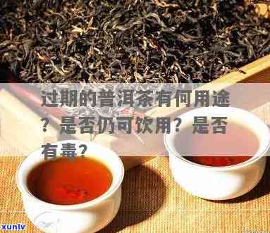 过期的茶叶还能喝吗？喝了有害处吗？可能会有生命危险吗？