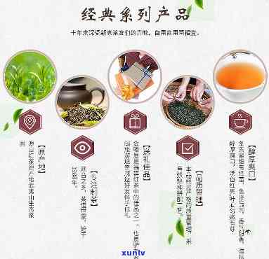  *** 茶叶，品味生活，选好茶就上 *** 茶叶！