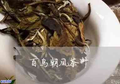 百鸟朝凤茶叶怎么样好喝吗，百鸟朝凤茶叶：口感如何，是否值得一试？