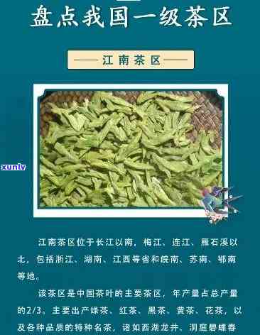 之一江南茶叶怎么样，探索之一江南茶叶的独特魅力：一次味蕾的旅行