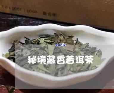 雪域秘茶价格，揭秘雪域秘茶的价格，让你不再被高价迷惑！