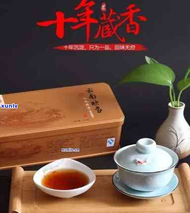 一品香茗茶叶怎么样啊，探究一品香茗茶叶的品质与口感，带你了解其魅力所在