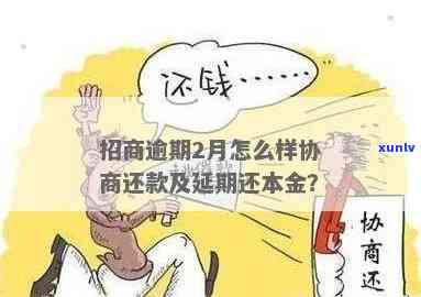 招商逾期怎么协商还本金？详解还款流程与  