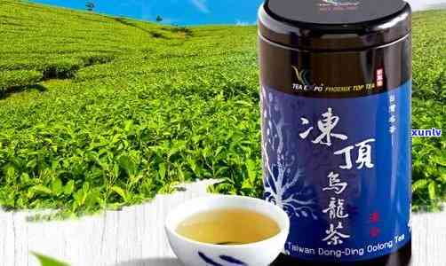 新凤鸣茶业，探索中国茶叶的精髓：新凤鸣茶业的越品质与历传承