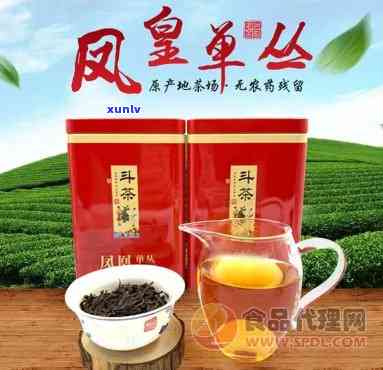 凤临高香茶叶怎么样-凤临高香茶叶怎么样好喝吗