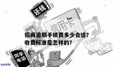 招商银行逾期手续费计算  及收费标准全解析