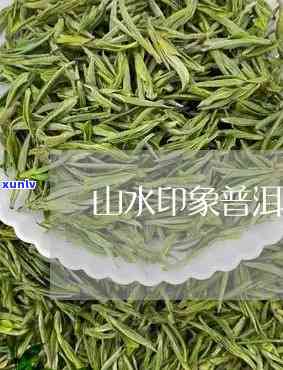 山水印象白茶价格多少，探寻山水印象白茶的价值：价格解析与品鉴指南