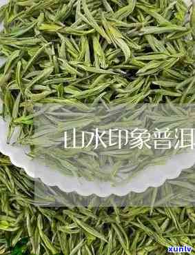 山水印象茶叶怎么样-山水印象茶叶价格多少