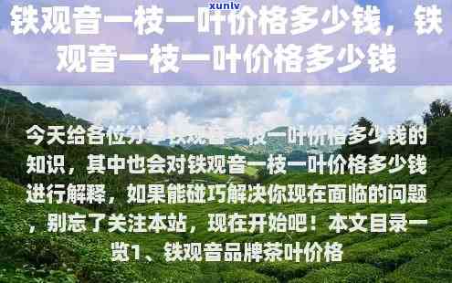 一枝一叶茶叶贵不贵？详解一枝叶茶叶礼盒、礼品盒价格及商标信息，还有红茶系列