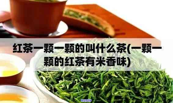 一枝一叶红茶：价格、品种与商标全解析