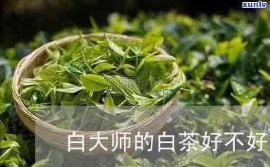 白大师的茶叶怎么样-白大师的茶叶怎么样能喝吗