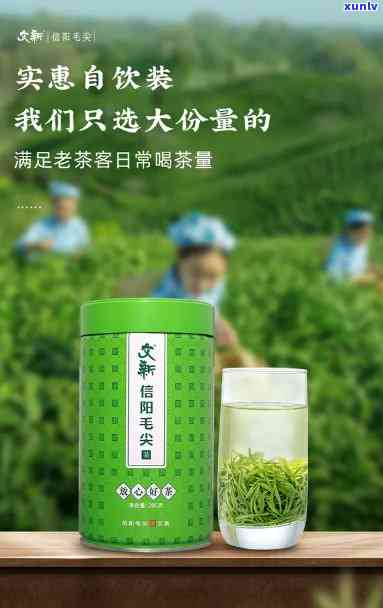 信阳文新茶叶怎么样-信阳文新茶叶官网