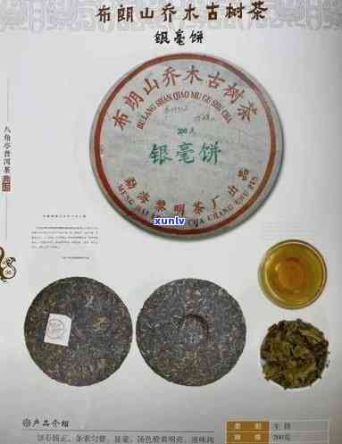 一古茶堂茶业官网：一古茶堂怎么样？为何价格便宜？普洱茶如何？详解学费茶与茶厂信息