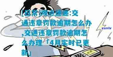 交通罚款逾期两个月怎么解决，怎样解决交通罚款逾期两个月的情况？