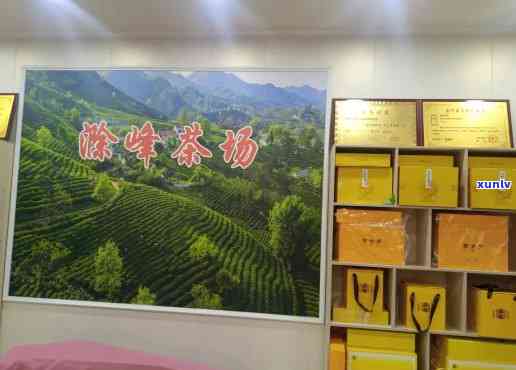 新县陈店茶叶怎么样-新县陈店茶叶专卖店