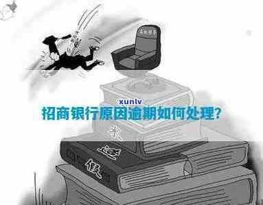 招商逾期了怎么办，怎样解决招商逾期疑问？一份全面的解决方案