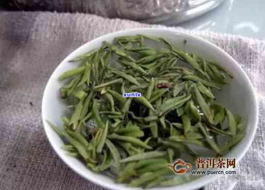 峨眉雪芽：好茶还是坏茶？功效与作用解析