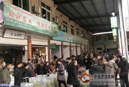 河南新乡茶叶：庆玲、名茶推荐、茶叶店与市场排名一览