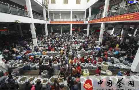 安溪县茶叶市场，探访安溪县茶叶市场：品尝世界名茶的宝地