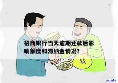 招商逾期停止滞纳金-招商逾期停止滞纳金怎么算