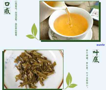 碎银子茶的 *** 过程说明文：详细解析其独特工艺与流程