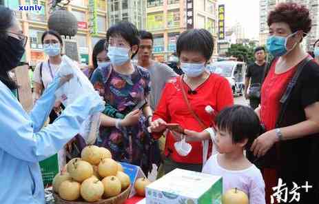 山水可居茶叶礼盒价格及图片一览：产地、品质、手制白茶价目全公开